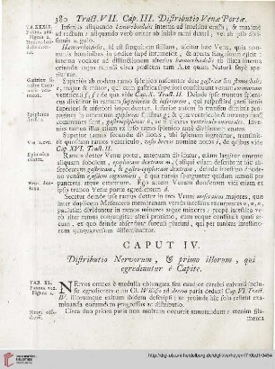 Caput IV: Distributio Nervorum, et primo illorum, qui egrediuntur è Capite