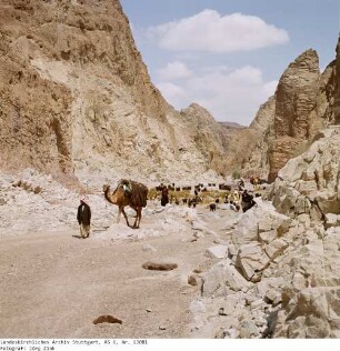 Wanderung, Aufbruch - Sinai - Familie Salem