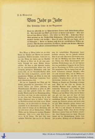 Der politische Leiter.