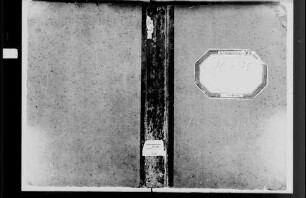 Neidenstein, evangelische, katholische und israelitische Gemeinde: Standesbuch 1870-1875