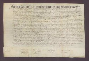 Instrumentum nobilitatis des Damian Eckbert von Dalberg.