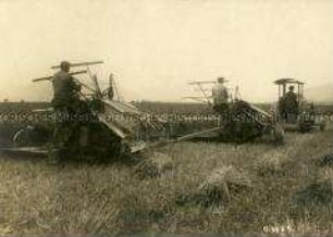 Schlepper mit Mähmaschinen
