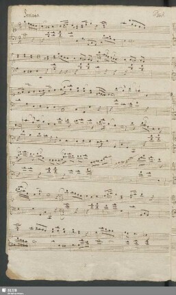 Sonata di Türk