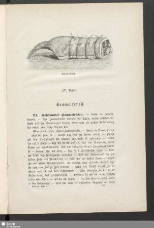 IV [i.e. V]. Kapitel. Hammelfleisch