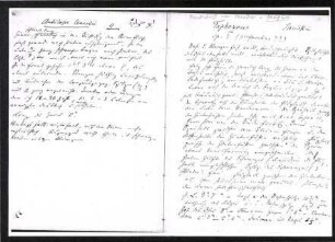 Handschriftliche Notizen von Heuglin