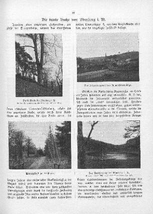Bunte Buche von Oderberg i. M. Mayenpfuhl am Forsthaus. Der Galgenberg mit dem Armensündersteige. Der Bardenpfuhl bei Oderberg i. M.