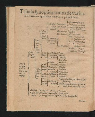 Tabula synoptica totius de verbo Dei tractatus ...