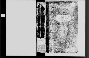 Neidenstein, katholische Gemeinde: Standesbuch 1803-1865