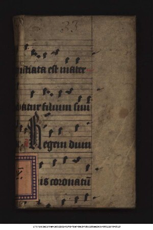 Elegantiarum Latini Sermonis Praeceptiones Aliquot : In gratiam Studiosae Iuventutis collectae, Cum Ciceronianis, tum aliorum bonorum Authorum exemplis illustratae. Omnibus incorruptae propriißimaeque Latinitatis cupidis utiles & necessariae