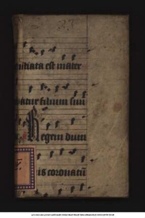 Elegantiarum Latini Sermonis Praeceptiones Aliquot : In gratiam Studiosae Iuventutis collectae, Cum Ciceronianis, tum aliorum bonorum Authorum exemplis illustratae. Omnibus incorruptae propriißimaeque Latinitatis cupidis utiles & necessariae