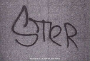 STeR