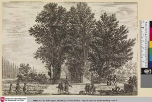 [Garten mit Blick in eine Allee]