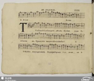 XXXI. Anonymus: Tu es Petrus (Ad aequales)