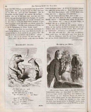 "Plausch nöt! (Steyrisch)" "Vorschlag zur Güte"