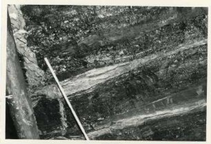 Dresden-Gittersee. Grubenfeld Gittersee. 2. Sohle. Aufhauen 3, Strecke 361 West bei 10,50 m. 5. Flöz. Lette 3 mit Tonsteinschmitzen