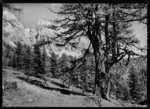 Gebirgslandschaft, eventuell Dachsteingebirge