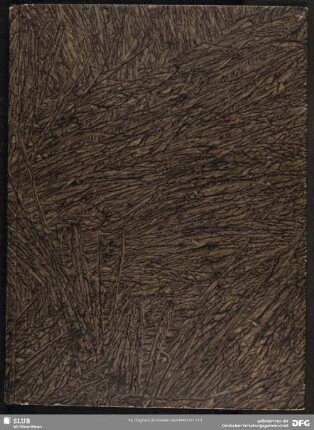 D'arismetricha e geometria - Mscr.Dresd.Ob.11