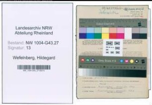 Entnazifizierung Hildegard Wefelnberg , geb. 14.05.1901 ()
