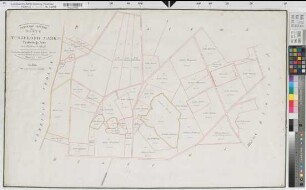 Tungerloh-Capellen (Gescher), Tungerloh-Pröbsting (Gescher), Teilung der Tungerloher Mark, Bl. 2 Reinkarte Pröbsting Seite