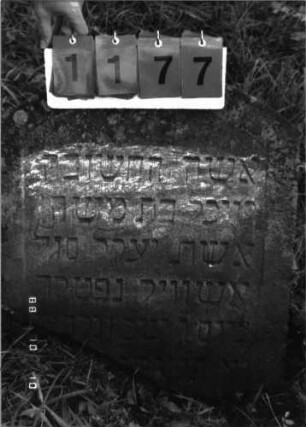 Grabstein 1177 (Index: 100098617) Maße HxBxT: 70x60x8 cm: Grabstein 1177 (Nachholaufnahme 1)