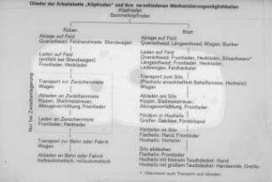 Glieder der Arbeitskette "Köpfroden" und ihre verschiedenen Mechanisierungsmöglichkeiten