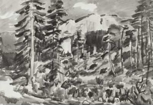 Kalkfelsen in der Tatra