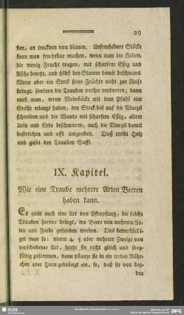 IX. Kapitel. Wie eine Traube mehrere Arten Beeren haben kann