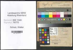 Entnazifizierung Walter Schulz , geb. 11.09.1909 (Angestellter)