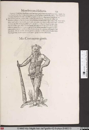 Mas Cinnaminiae gentis