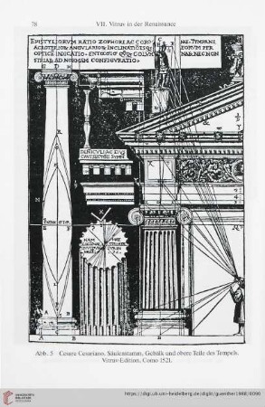 VIII: Walther Ryff