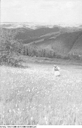 Sommer, Mädchen mit Wollhandgras, mit Kamera und mit Erdbeeren, Skisprungschanze im Sommer