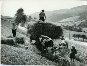 "Erntezeit im Prechtal"