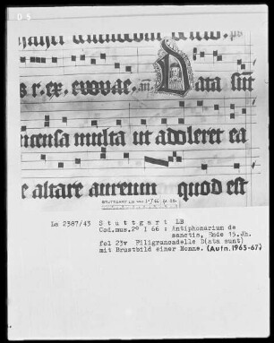 Antiphonarium de Sanctis (Dominikanerinnenhandschrift) — Initiale D (ata sunt) mit Brustbild einer Nonne, Folio 23verso