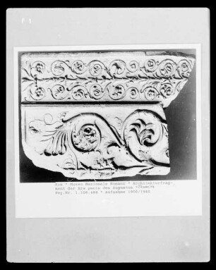 Architekturfragment der Ara pacis des Augustus
