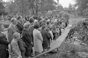 Elefanten im Karlsruher Zoo.