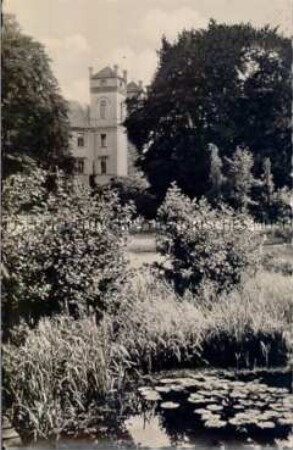 Der Park von Lübbenau