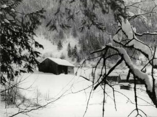 Winterlandschaft im Bregenzerwald bei Mellau, Voralberg