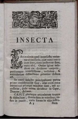 Insecta