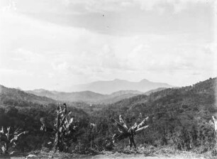 Gebirgslandschaft : Vegetationslandschaft eines Gebirges