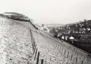 Würzburg. Weinberg westlich der Festung Marienberg. Blick über den Maschikuliturm