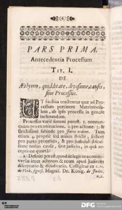 Tit. I. De Æthymo, quidditate, divisione, causis, fine Processus.