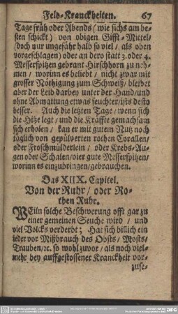 Das XIIX. Capitel. Von der Ruhr, oder Rothen Ruhr