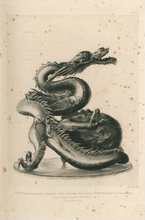Grand dragon de bronze formant brule-parfums, par Tooun (Commencement du XIXe sciecle) Collection de M. Henri Cernuschi