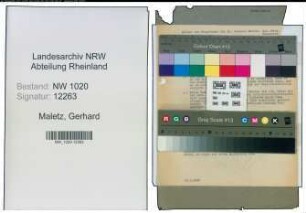 Entnazifizierung Gerhard Maletz , geb. 00.00.0000 (Direktor)