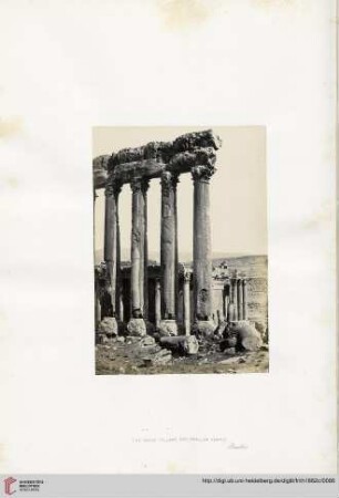 The great Columns and smaller Temple, Baalbec