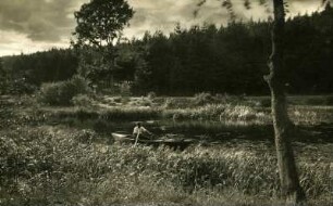 Am Blechhammer