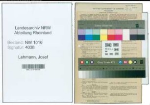 Entnazifizierung Josef Lehmann , geb. 18.03.1905 (Buchhalter)