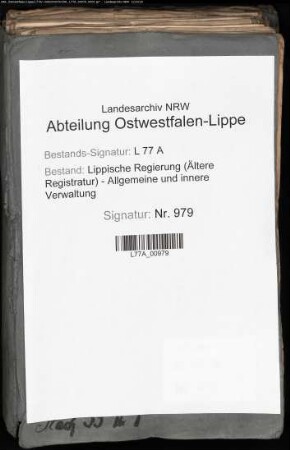Berichte, Beschwerden und Strafsachen des Gogerichts des Amtes Blomberg, auch Niederlassungen im Amt Blomberg
