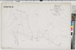 Neuenkirchen (Neuenkirchen), Rheine l.d.Ems (Rheine), Zusammenlegung Catenhorn, Urkarte I Rheine l.d.Ems Flur 20-21