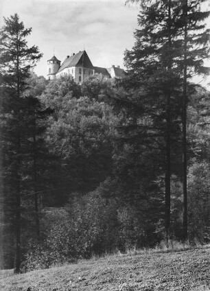 Bärenstein (Erzgebirge). Landschaftsausschnitt mit Schloss